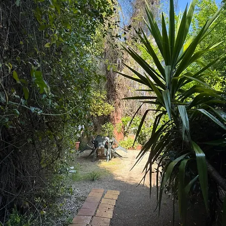 La Casa Di Ornella Rome