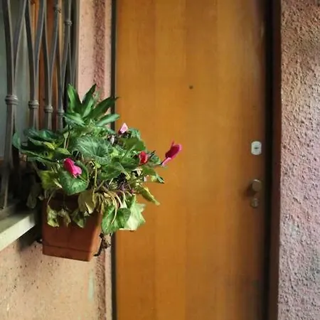 La Casa Di Ornella Διαμέρισμα