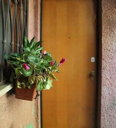 La Casa Di Ornella Διαμέρισμα